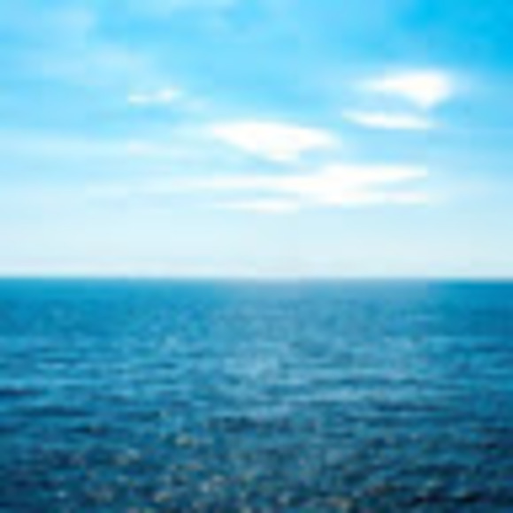 Meet your Posher, Anne - Picture 1 of 1